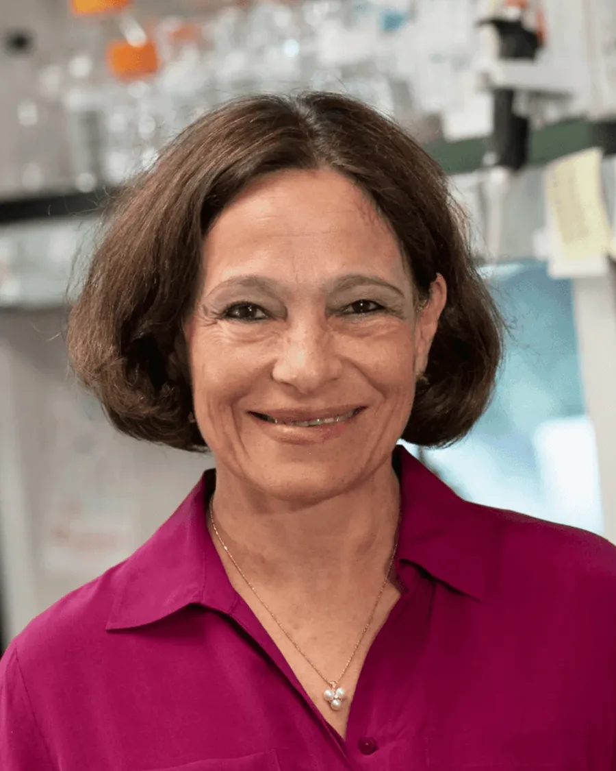 Silvia Corvera, MD